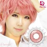 アシストシュシュ シャイニーエッジワンデー フラミンゴ(1箱10枚入り)