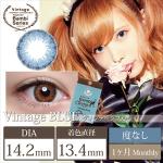 エンジェルカラー バンビシリーズヴィンテージ ヴィンテージブルー 度なし(1箱2枚入り)