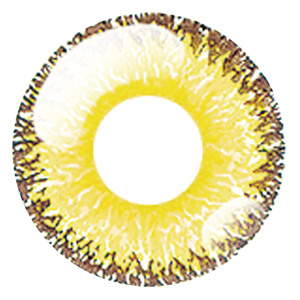 ドルチェ パーフェクトワンデー 満月イエロー(1箱6枚入り)