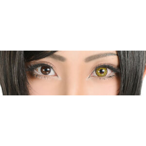 ドルチェ パーフェクトワンデー 満月イエロー(1箱6枚入り)