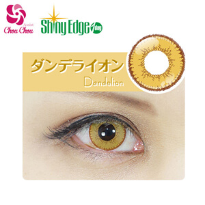 アシストシュシュ シャイニーエッジワンデー ダンデライオン(1箱10枚入り)