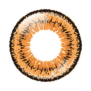 アシストシュシュ ツインループワンデー タンゴオレンジ(1箱6枚入り)