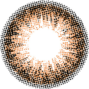 エンジェルカラーワンデー ヴィンテージブラウン(1箱10枚入り)