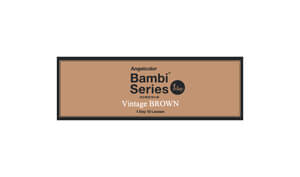 エンジェルカラーワンデー ヴィンテージブラウン(1箱10枚入り)