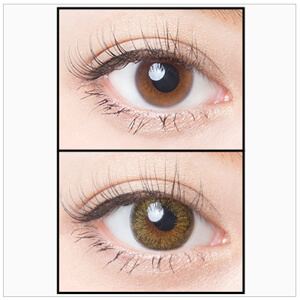 エンジェルカラーワンデー ヴィンテージオリーブ(1箱10枚入り)