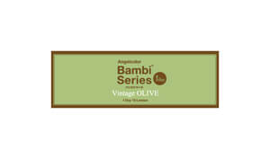 エンジェルカラーワンデー ヴィンテージオリーブ(1箱10枚入り)