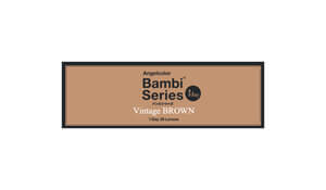 エンジェルカラーワンデー ヴィンテージブラウン(1箱30枚入り)