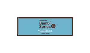 エンジェルカラーワンデー ヴィンテージブルー(1箱30枚入り)