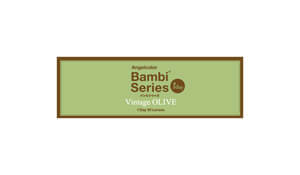 エンジェルカラーワンデー ヴィンテージオリーブ(1箱30枚入り)