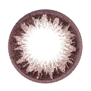 ヴィクトリアワンデー チョコレート(1箱10枚入り)