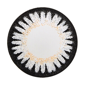 シークレットキャンディーマジックワンデー　No.12グレー(1箱20枚入り)