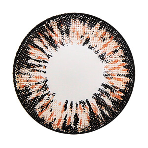 シークレットキャンディーマジックワンデー　No.13ブラウン(1箱20枚入り)