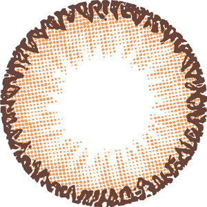 セレクトフェアリー ベーシックブラウン