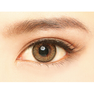 ミッシュブルーミン シアーカーキ(1箱10枚入り)