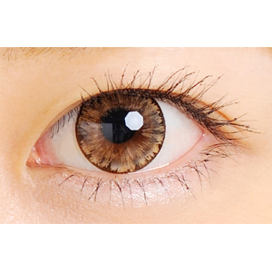 クオーレフレスコ アイスブラウン-14.5mm- (1箱1枚入り)