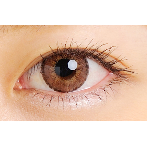 クオーレドンナ ブリエブラウン (1箱1枚入り)