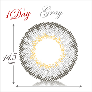 クオーレワンデー グレー(1箱10枚入り)