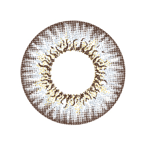 エンジェルカラーワンデー スポットライトグレー(1箱10枚入り)