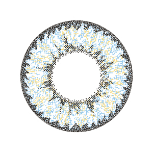 エンジェルカラーワンデー ヴァージンクォーター(1箱10枚入り)