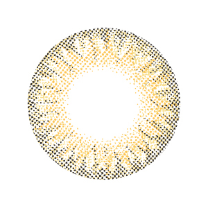 エンジェルカラーワンデー ワールドブラウンリッチ(1箱10枚入り)