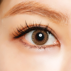 エンジェルカラーワンデー ワールドブラウンリッチ(1箱10枚入り)