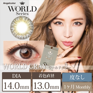 エンジェルカラー ワールドシリーズマンスリー ワールドグレー 度なし(1箱2枚入り)