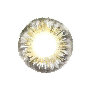 エンジェルカラー ワールドシリーズマンスリー ワールドグレー 度なし(1箱2枚入り)