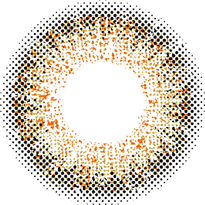プティア エルムヘーゼル(1箱10枚入り)