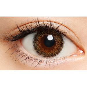 プティア エルムヘーゼル(1箱10枚入り)