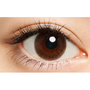 プティア パームブラン(1箱10枚入り)