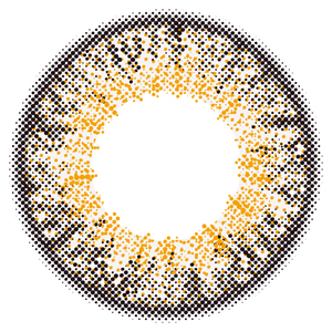 プティア グレースブラウン(1箱10枚入り)