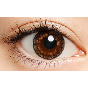 プティア グレースブラウン(1箱10枚入り)