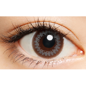 プティア トラッドシック(1箱10枚入り)