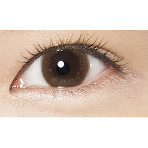 ワンデーリフレアビジュー ブラウン1(1箱10枚入り)