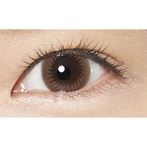 ワンデーリフレアビジュー ブラウン5(1箱10枚入り)