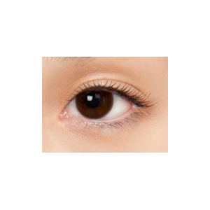 アーティラル ブラウン(1箱10枚入り)