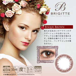 ブリジット No.2ビスクブラウン(1箱30枚入り)