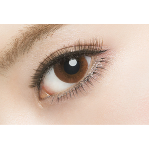 ブリジット No.2ビスクブラウン(1箱30枚入り)