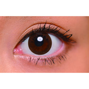 エルコンワンデーポップ ショコラ(1箱30枚入り)