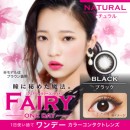 【在庫限り】フェアリーワンデーナチュラル ブラック (1箱10枚入り)