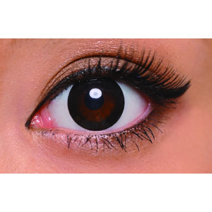 【在庫限り】フェアリーワンデーナチュラル ブラック (1箱10枚入り)