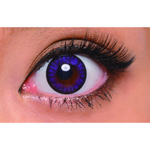 【在庫限り】フェアリーワンデープリンセス バイオレット(1箱10枚入り)