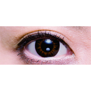 2ウィークビューティー 神戸(KOBE)ブラウン(1箱6枚入り)