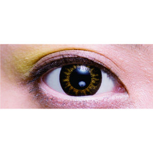 2ウィークビューティー 沖縄(OKINAWA)ヘーゼル(1箱6枚入り)