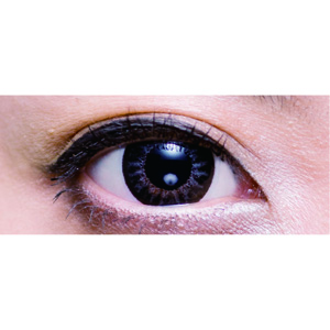 2ウィークビューティー 東京(TOKYO)グレー(1箱6枚入り)