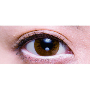 2ウィークビューティーUV 横浜(YOKOHAMA)ブラウン(1箱6枚入り)