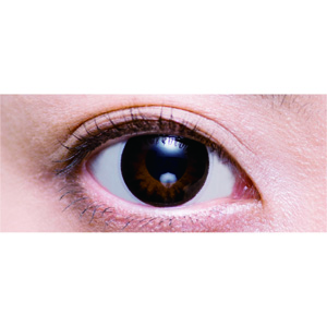 2ウィークビューティーUV 京都(KYOTO)ブラック(1箱6枚入り)