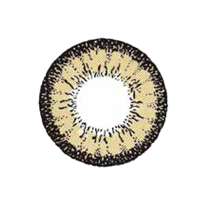 フラワーアイズワンデー アイリスブラウン(1箱10枚入り)