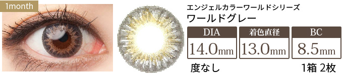 エンジェルカラー ワールドシリーズマンスリー ワールドグレー 度なし(1箱2枚入り)