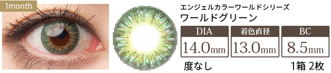 エンジェルカラー ワールドシリーズマンスリー ワールドグリーン 度なし(1箱2枚入り)
